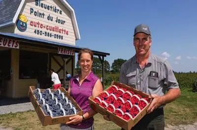 Bleuetière Point du jour