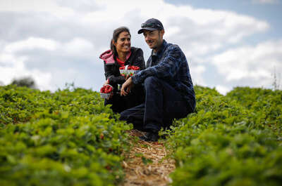 OhBio – Ferme Jean-Pierre Plante