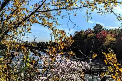 Parc des Chutes-Rouillard