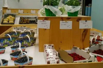 Bleuetière de Saint-Bernard – Ferme JP&KL