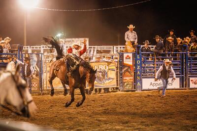 Festival du boeuf d&rsquo;Inverness