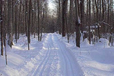 Les Sentiers de la Presqu&rsquo;île