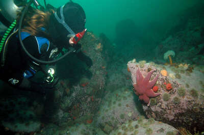 Centre de découverte du milieu marin