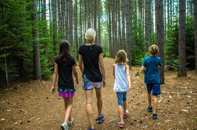 Domaine Saint-Bernard