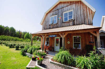 Domaine L&rsquo;Orée des bois