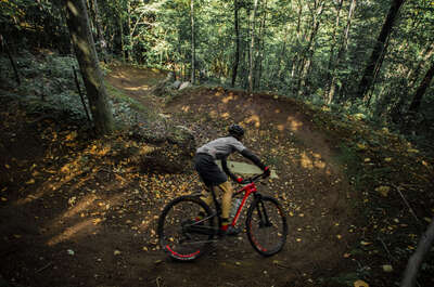 Parc des Montagnes Noires de Ripon