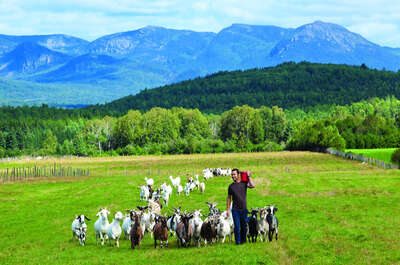 La Route des saveurs de Charlevoix