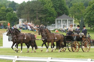 International d&rsquo;attelage Bromont