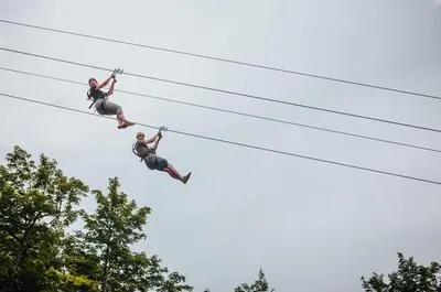 Camp Fortune Luge, parc aérien et tyroliennes