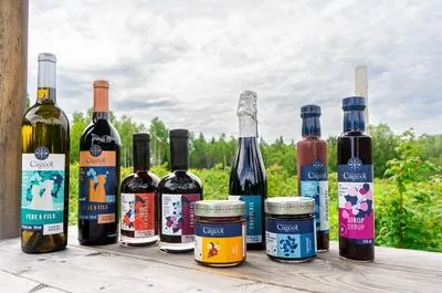 Domaine Le Cageot – Vignoble et distillerie nordique