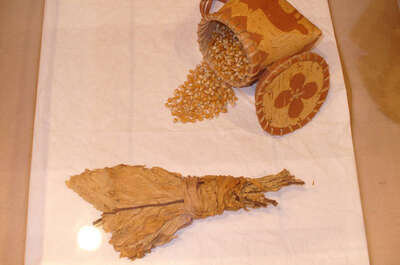 Abitibiwinni : l&rsquo;expérience algonquine