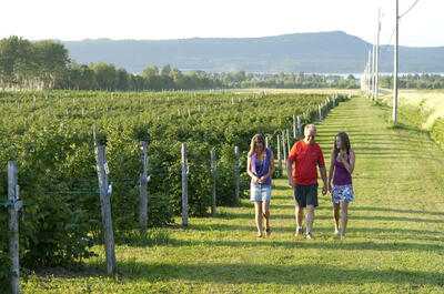 La Vallée de la Framboise Inc. – Économusée des liquoristes : framboise