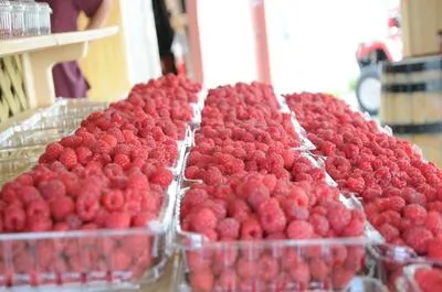 La Vallée de la Framboise Inc. – Économusée des liquoristes : framboise