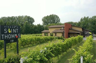 Vignoble Saint-Thomas