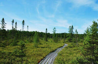Parc Écoforestier de Johnville
