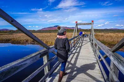 Marais de la Rivière-aux-Cerises