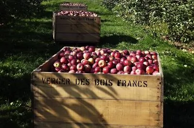 Verger des Bois-Francs