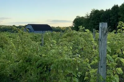 Vignoble Bromont – Auberge & Boutique