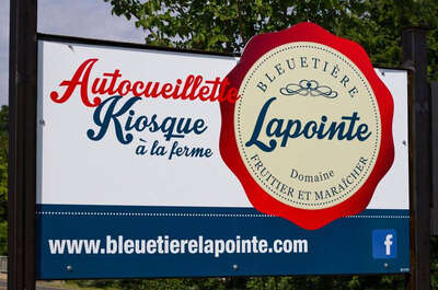 Bleuetière Lapointe