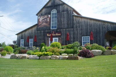 Vignoble Saint-Gabriel