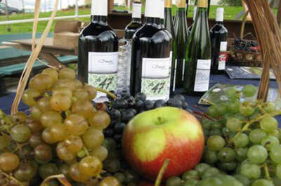 Vignoble Domaine DesDuc