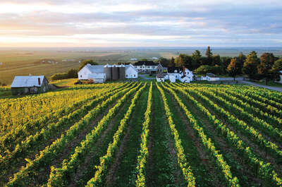 Vignoble et Cidrerie Coteau Rougemont