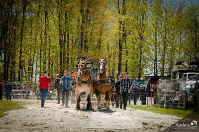 Festival des sucres de St-Pierre-Baptiste