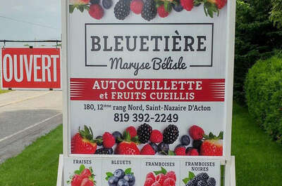 Bleuetière Maryse Bélisle