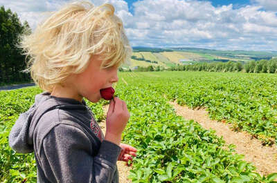 Aux Fruits de la colline