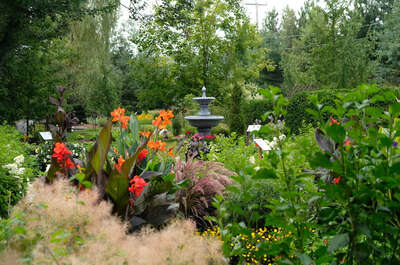 Sentier botanique Saint-Élie