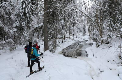 Féérie d&rsquo;hiver