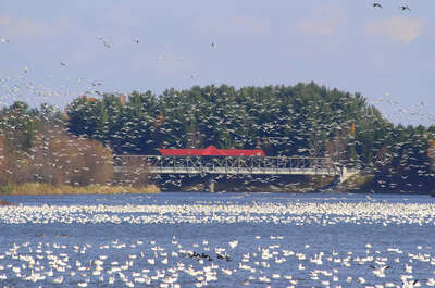 Parc du Réservoir-Beaudet