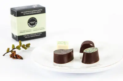 Couleur chocolat – Économusée du chocolatier