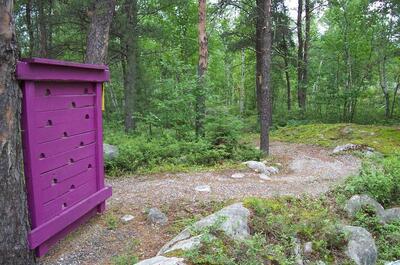 Sentier écologique de Nédélec