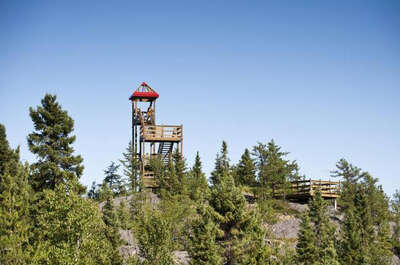 Sentiers pédestres et poste d&rsquo;observation Grand Héron