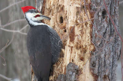 Parc Valero Les Écarts