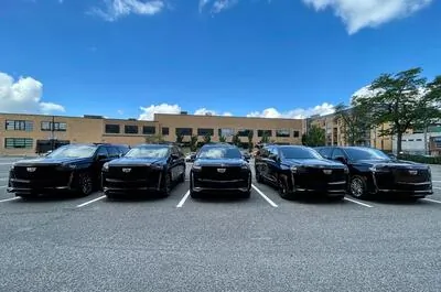 Mimo limousine