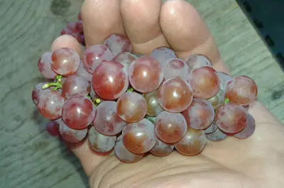 Ferme François Bélanger