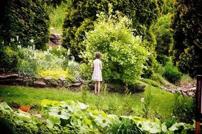 Jardin Moore (Fondation Dyson Moore)