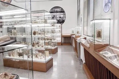 Musée médical Maude-Abbott