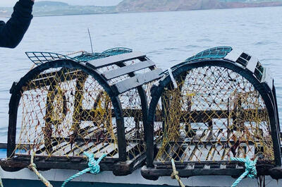 Interprétation pêche en mer / Interprétation de la pêche au homard