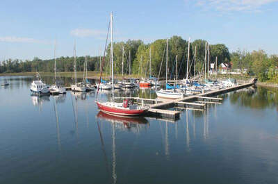 Marina Rose des Vents