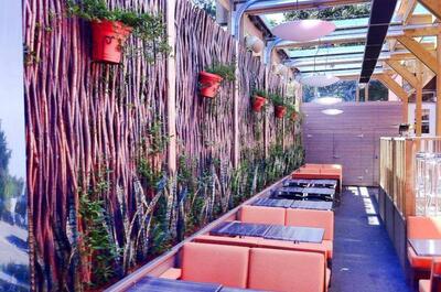 Cactus bar à bières