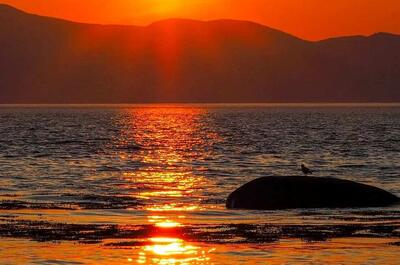 CAMPING RIVIÈRE-OUELLE