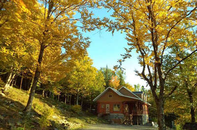 AUBERGE DU JEUNE VOYAGEUR