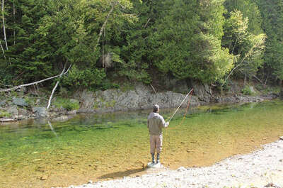 CAMPING PORT-DANIEL – RÉS. FAUNIQUE DE PORT-DANIEL – SÉPAQ