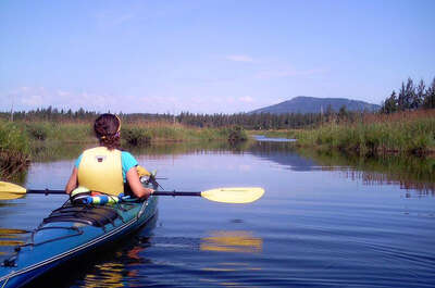 CAMPING PARC NATIONAL DE FRONTENAC, SECTEUR SAINT-DANIEL – SÉPAQ
