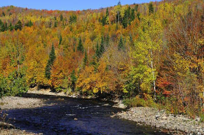 PARC NATUREL RÉGIONAL DE PORTNEUF