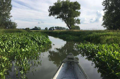 DOMAINE DU LAC ST-PIERRE