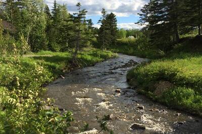 CAMPING O&rsquo;P&rsquo;TIT DES MONTS